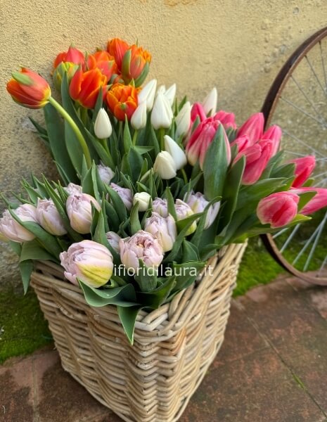 Tulipani a colori o misti da comporre in mazzo per numero di steli.