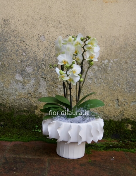 Vaso fatto a mano h15