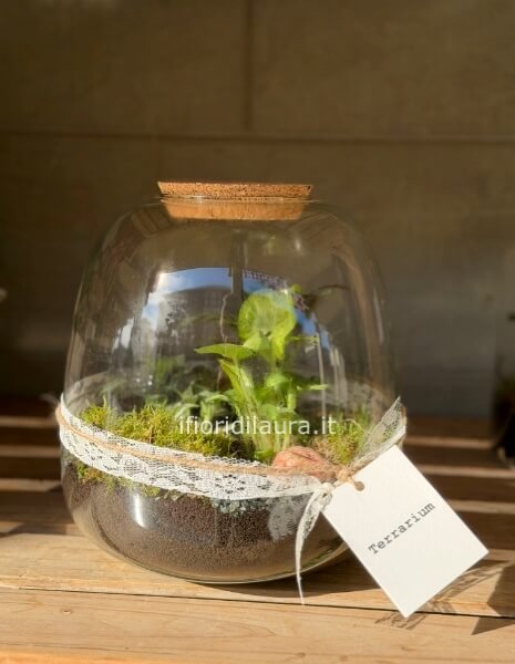 Terrarium grande h30